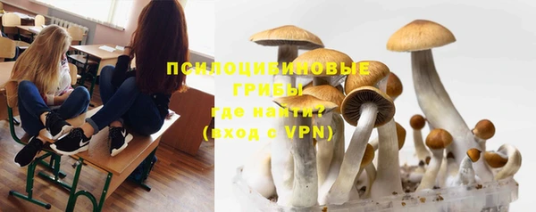 стаф Абдулино
