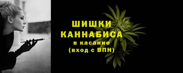 стаф Абдулино