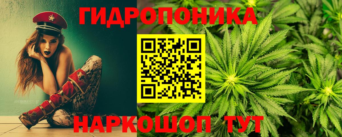 МАРИХУАНА планчик Великий Новгород